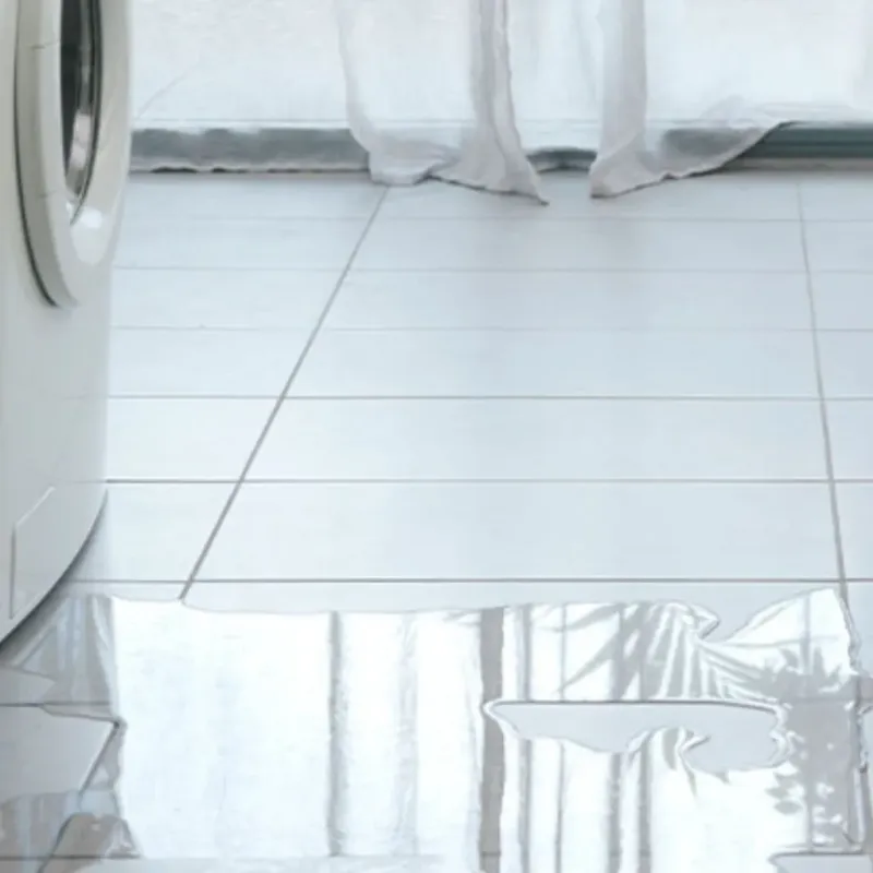 Appliance Leak Cleanup in Buena Vista, GA
