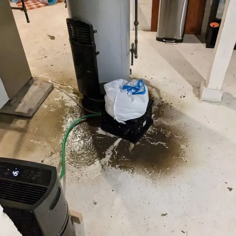 Sewage Backup Cleanup Service in Buena Vista, GA